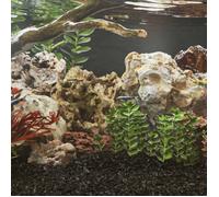 Pierres du dragon 25 kg marron 10 40 cm