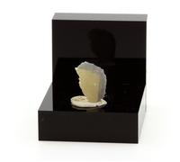 Pierres et Minéraux - A BIJOUX - Stolzite - 5.35 ct - Ultra Rare - Sainte-Lucie Mine, Occitanie