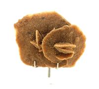 Pierres et Minéraux. Gypse (Rose des Sables). 430.8 ct. Maroc.