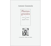 Pierres gravees - Antonio Gamoneda - Lettres Vives - relié - Livre