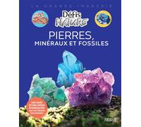Damien Vallot – Pierres, minéraux et fossiles – Document jeunesse – Cartonné