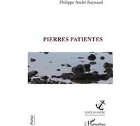 Pierres patientes Philippe André Raynaud (Auteur)