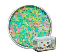 Pierres phosphorescentes 500 Pièces De Galets Décoratifs Pour Aquarium