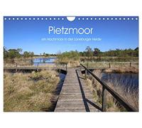 Pietzmoor - ein Hochmoor in der Lüneburger Heide (Wandkalender 2026 DIN A4 quer), CALVENDO Monatskalender: Das Pietzmoor bei Schneverdingen lädt zu jeder Jahreszeit zum Wandern und Erholen ein