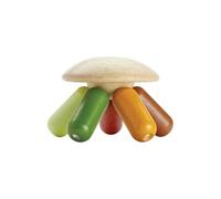 Pieuvre Couleurs Végétales