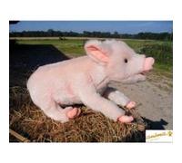 Pig No.4944 G