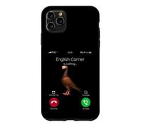 Pigeon de Transport Anglais Amusant pour Hommes, Femmes, Enfants Coque pour iPhone 11 Pro Max