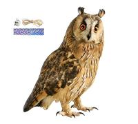 Pigeon, hibou leurre pour effrayer les oiseaux loin des oiseaux effrayants pour les jardins dispositifs d'oiseaux naturels en carton papier pigeons loin