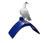Pigeon Perch Stand - Cadre confortable léger et sûr, oiseaux perroquets Holder Rest, Blue Polymer Dwelling | Montage sans effort, cage Playground Home Yard Balcony Pet Store Display Supplies