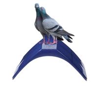 Pigeon Perchoirs - Léger PP | Repos Support Oiseau Cage Volière Habitation Cadre Confortable Sûr Perche Plateforme | Pour Colombes Volatiles Maison Cour Animalerie Espace-jeu Habitacle Accessoire Bleu