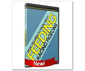 PIGEON RACING: FEEDING - Best Secrets of Champions