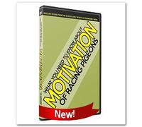 PIGEON RACING: MOTIVATION - Best of Secrets of Champions