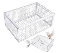 Pigeon Trap avec Quatre entrées d'accès unidirectionnelles Piège d'oiseau 16x12x10 Pouces Cage de Pigeon avec Cage de Pigeon Skyligh