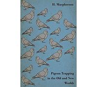 Pigeon Trapping In The Old And New Worlds