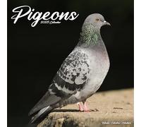 Pigeons Calendar 2025 Square Birds Wall Calendar - 16 Month