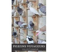 Pigeons voyageurs Collectionneur Carnet de notes Pour Passionné Colombophilie: Calepin ligné, répertoriez vos collections, idées | Cadeau Noel Anniversaire
