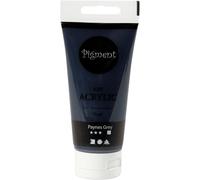 Pigment Art Pigment Art peinture acrylique Payne's Grey 75 ml