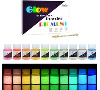 Pigment De Résine Époxy Fluorescent - 10 Couleurs X 25g Résine Époxy Pigment En Poudre Lumineuse Pour Resin, Slime, Ongles - Glow In The Dark Pigment Powder Pour Nail, Peinture, Acrylique