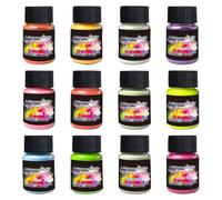 Pigment Phosphorescent Peinture Fluorescente 12 Couleurs