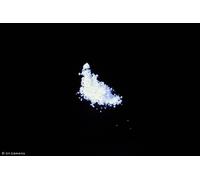 Pigment phosphorescent (TLP + NLP UV-ZnS) 25 g - Blanc - Lumière noire, pigment, UV, néon.