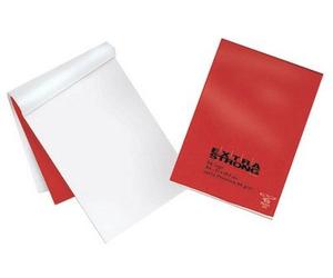 Pigna 02085221R Bloc-note - Lot de 10