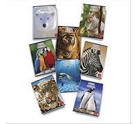 Pigna 02253580A Cahier A4 Animal World