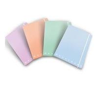 Pigna 02299023L fichier Multicolore G