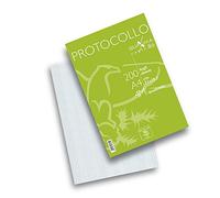 Pigna, 200 Feuilles protocolaires, A4 21x29.7 cm, 80 g, 4M, carrés de 4 mm