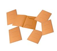 Pigna, 50 chemises à dossier 3 rabats avec impression, Eco Line, 24,5x34,5 cm, 180 g, Couleur orange