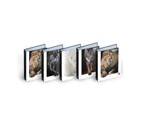 Pigna, Cahier à anneaux f.to A4 ANIMAL, cahier à anneaux, organisation de documents, format 27 x 32 cm, lot de 5 pièces