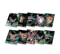 Pigna, lot de 10 cahiers A4 ANIMAL, 80 pages + page de garde, lignes pour le CE2