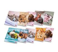 Pigna, lot de 10 cahiers A4 Maxi DOLCI CUCCIOLI, 80 pages + page de garde, quadrillage 4 mm