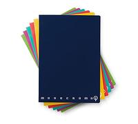 Pigna Lot de 10 cahiers monochromes QI