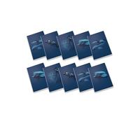 Pigna, Maxi Cahier monochrome bleu, A4, papier intérieur 100 g/m², pages 72 + revêtement, intérieur 1R, lignes, sujets assortis, lot de 10