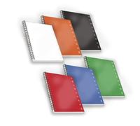 Pigna Maxi Spirale Format A4 1R Rayures Un Rigo Blocchi, Multicolore, 8005235078710