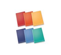 Pigna, Mini carnets monochromes, intérieur 5M, carré 5 mm, mini format 12x17 cm, 80 g, couvertures assorties, 10