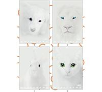 Pigna Monochrome Blanc, 0c Doublure A4 Papier Carnet 100g/M2, Paquet De 10 Pièces 02307910c