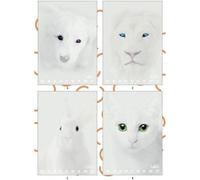Pigna Monochrome Blanc, Papier Cahier A4 Ligné 5m 100g/M2, Paquet De 10 Pièces 02307915m