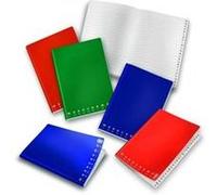 Pigna Monocromo bloc-notes A5 Multicolore G