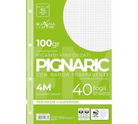 Pigna, Paquet de 40 4 trous, classement, bande latérale renforcée, feuilles à trous renforcées, papier 100 g/m², feuilles A4, 21x29,7, 4M, carré 4 mm.
