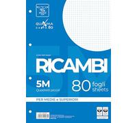 Pigna, Paquet de 80 feuilles perforées à 4 trous pour le classement, A4, 21x29,7, feuilles perforées sans renfort, 5M, quadrillées 5 mm.