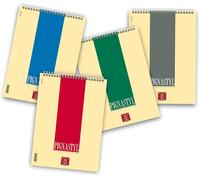 Pigna Bloc-notes spirale PIGNASTYL 21x29,7 cm papier 80 g 60 f. ligné intérieur 1R Pack 10