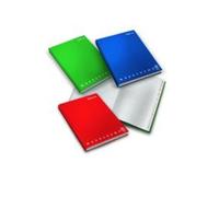 Pigna Rubrica Cartonata A4 96+2ff Assorti 0206868