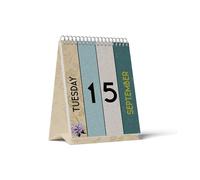 Pigna x Bridgerton, calendrier perpétuel de bureau, coffret 1 pièce