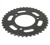 Pigno JT JTR239,38