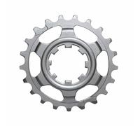 Pignon dernière position Miche Campagnolo 11V Argenté