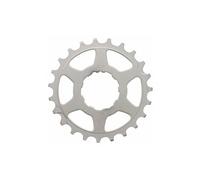Pignon 11v. pour shimano 23d.