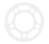 Pignon arrière Raleigh E-bike One ST Argenté