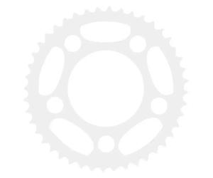 Pignon arrière Raleigh E-bike One ST Argenté