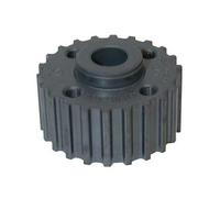 Pignon de vilebrequin pour Seat Ibiza 6L